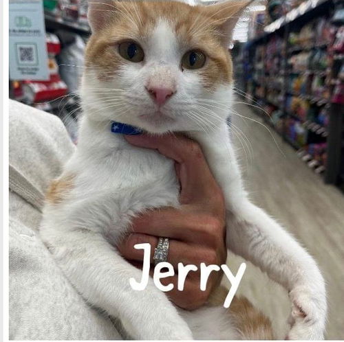 Jerry