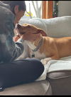 Lola