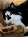 Smudge