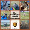The Starbucks Family Puppies