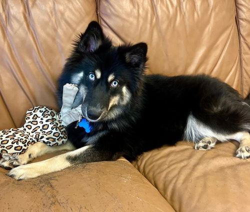 Skye
