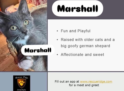 Marshall
