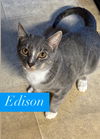 Edison