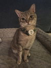 Klaus - Photo 2