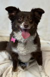 Frannie