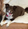Frannie