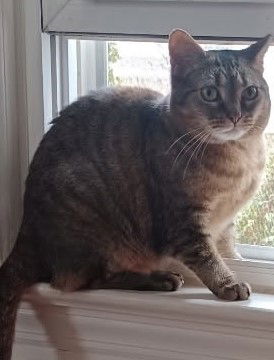 Rosie