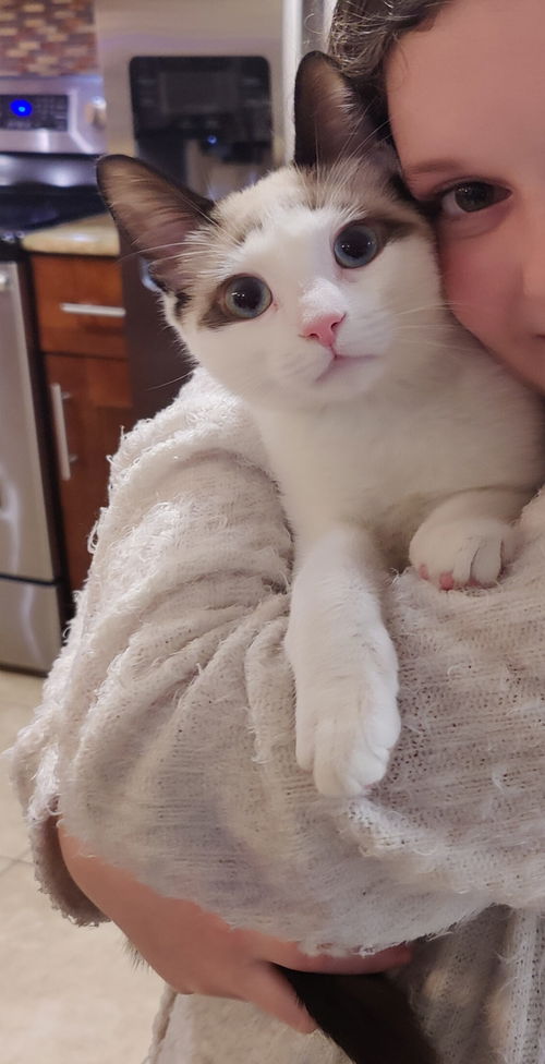 Freddie