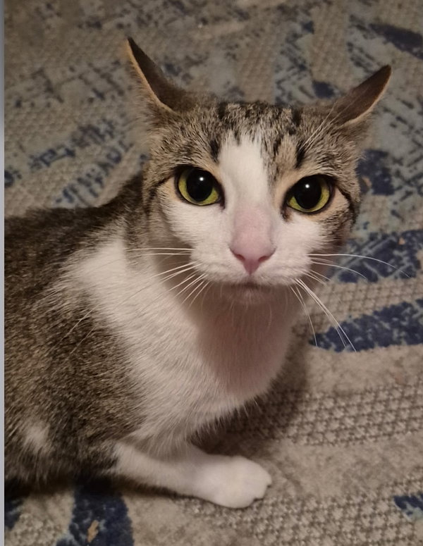 Chloe