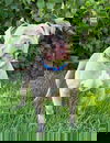 Emmie