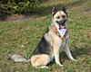Dante - Photo 4