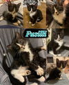Fusilli