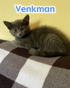 Venkman
