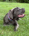 Abby