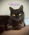Ohana
