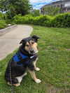 Billy