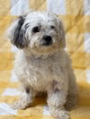 Winnie