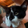 Billy - Photo 4