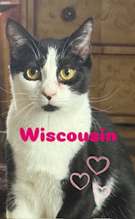 Wisconsin
