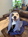 Roxy - Photo 4