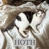 Hoth - Photo 3