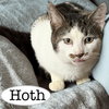 Hoth - Photo 5