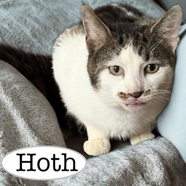 Hoth