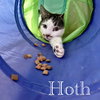 Hoth - Photo 2