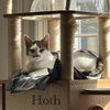 Hoth - Photo 4