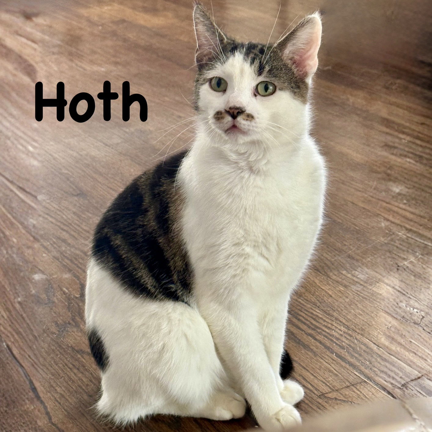 Hoth