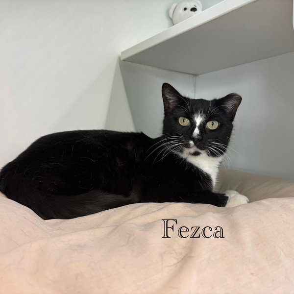 Fezca