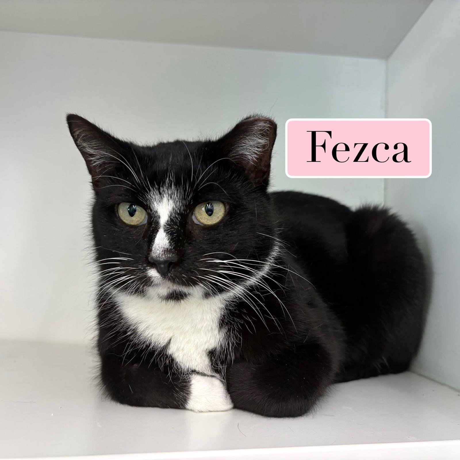 Fezca