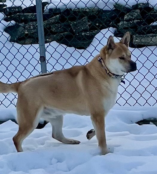 Milo