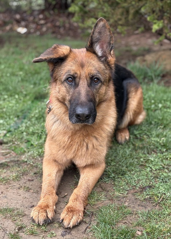 Sierra