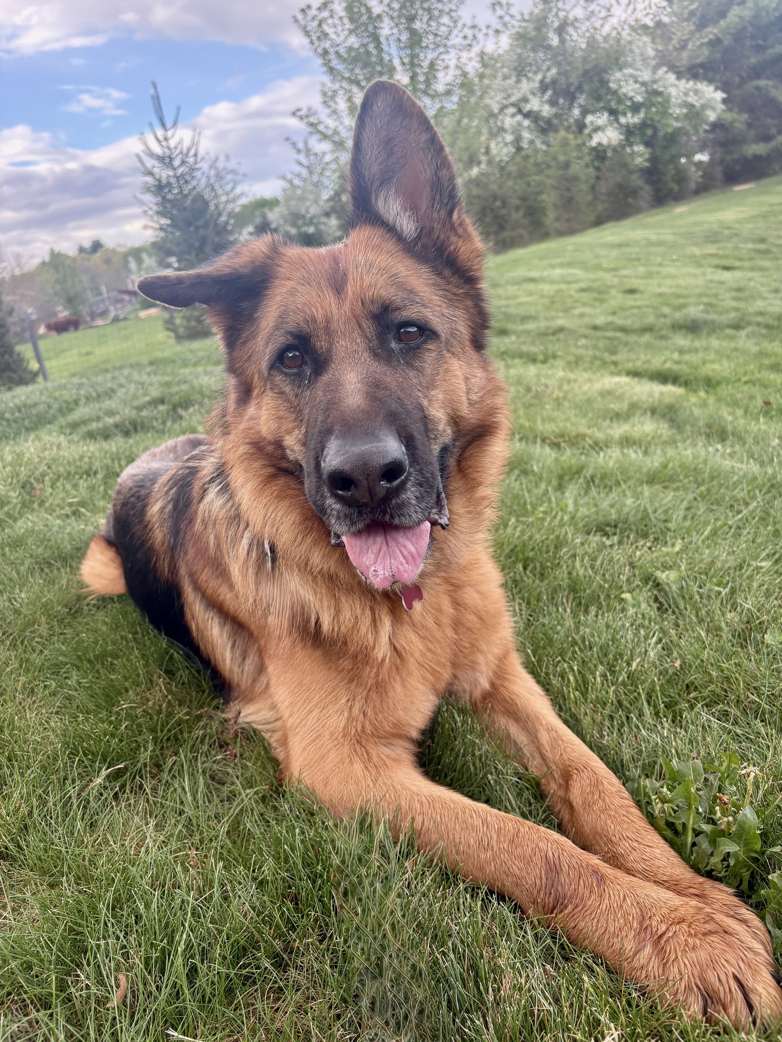Sierra