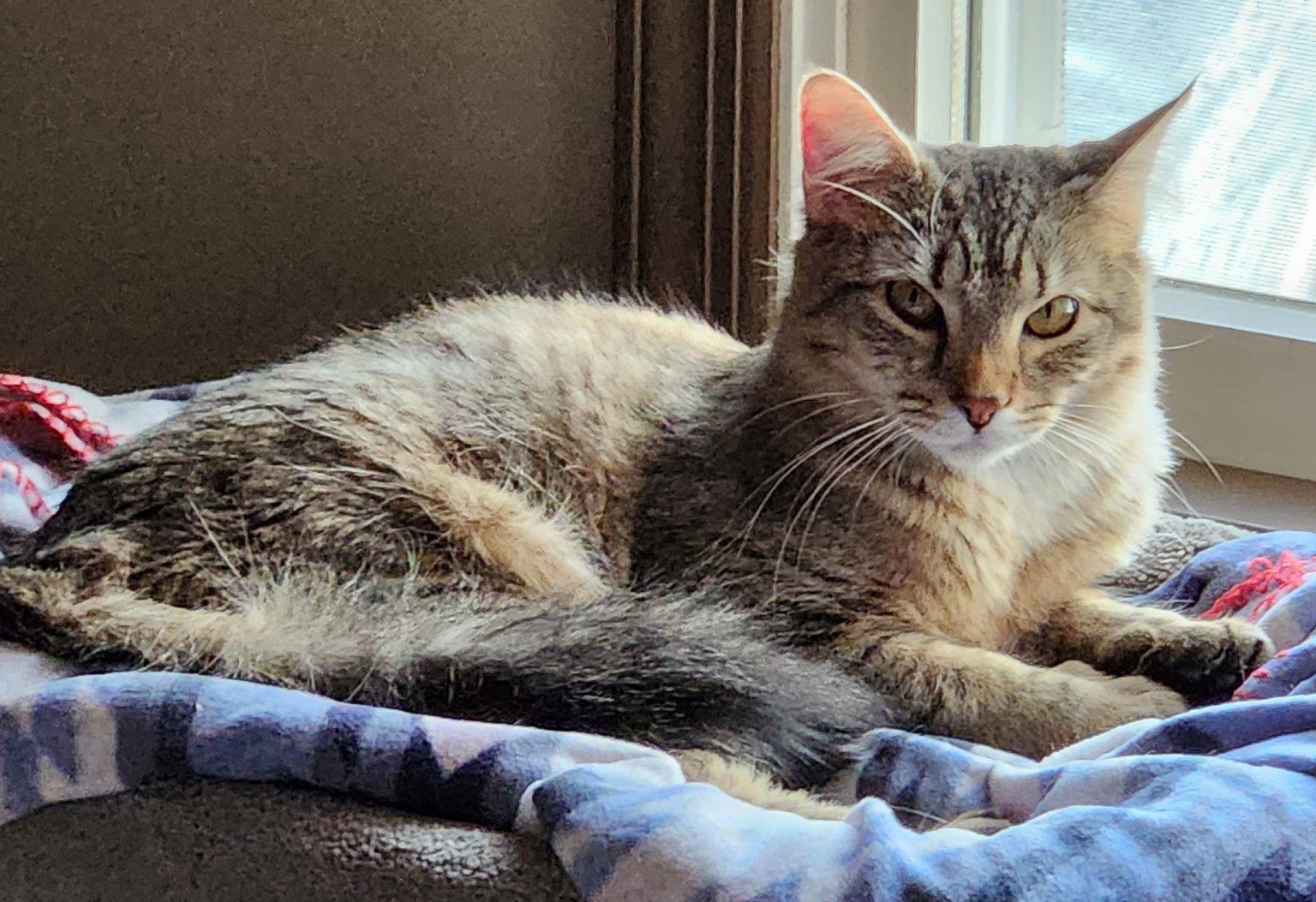 Maggie