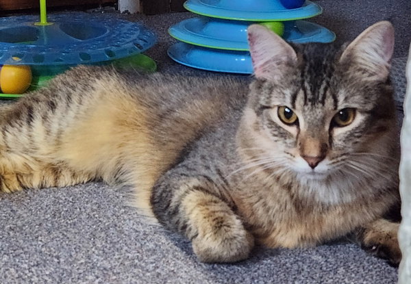 Maggie