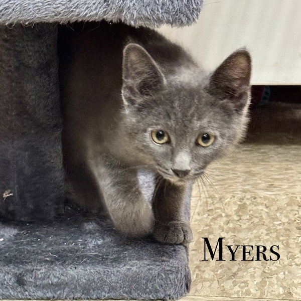 Myers