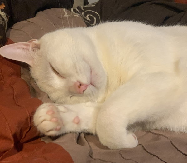 Casper