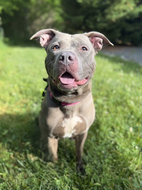 Belle