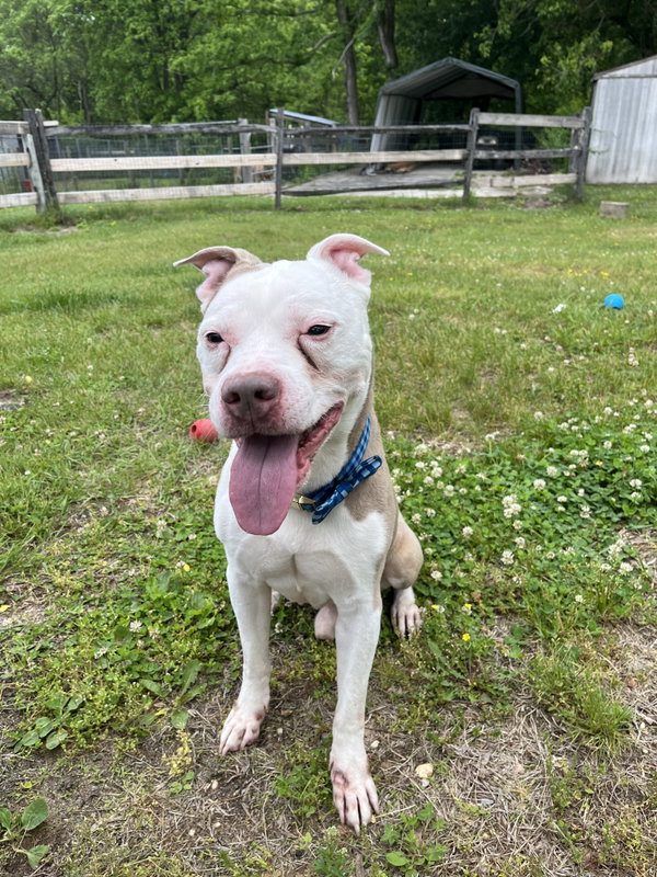 Oakley