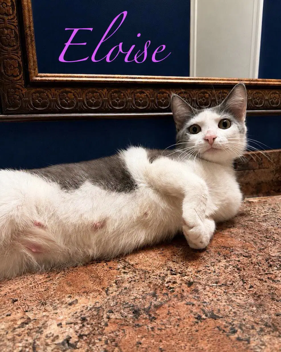 Eloise image 2