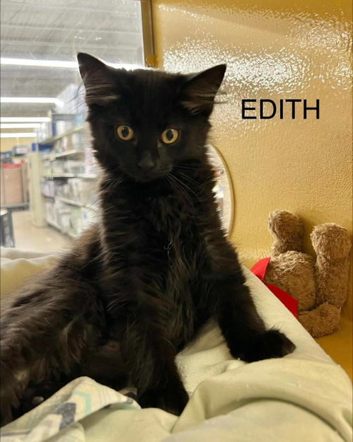 Edith