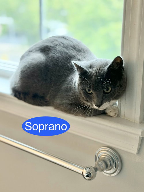 Soprano