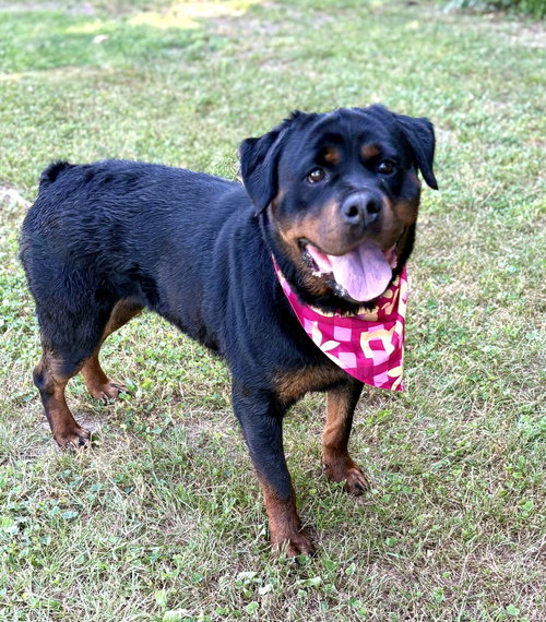 Darla photo 2