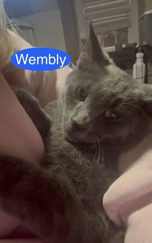 Wembly photo 3