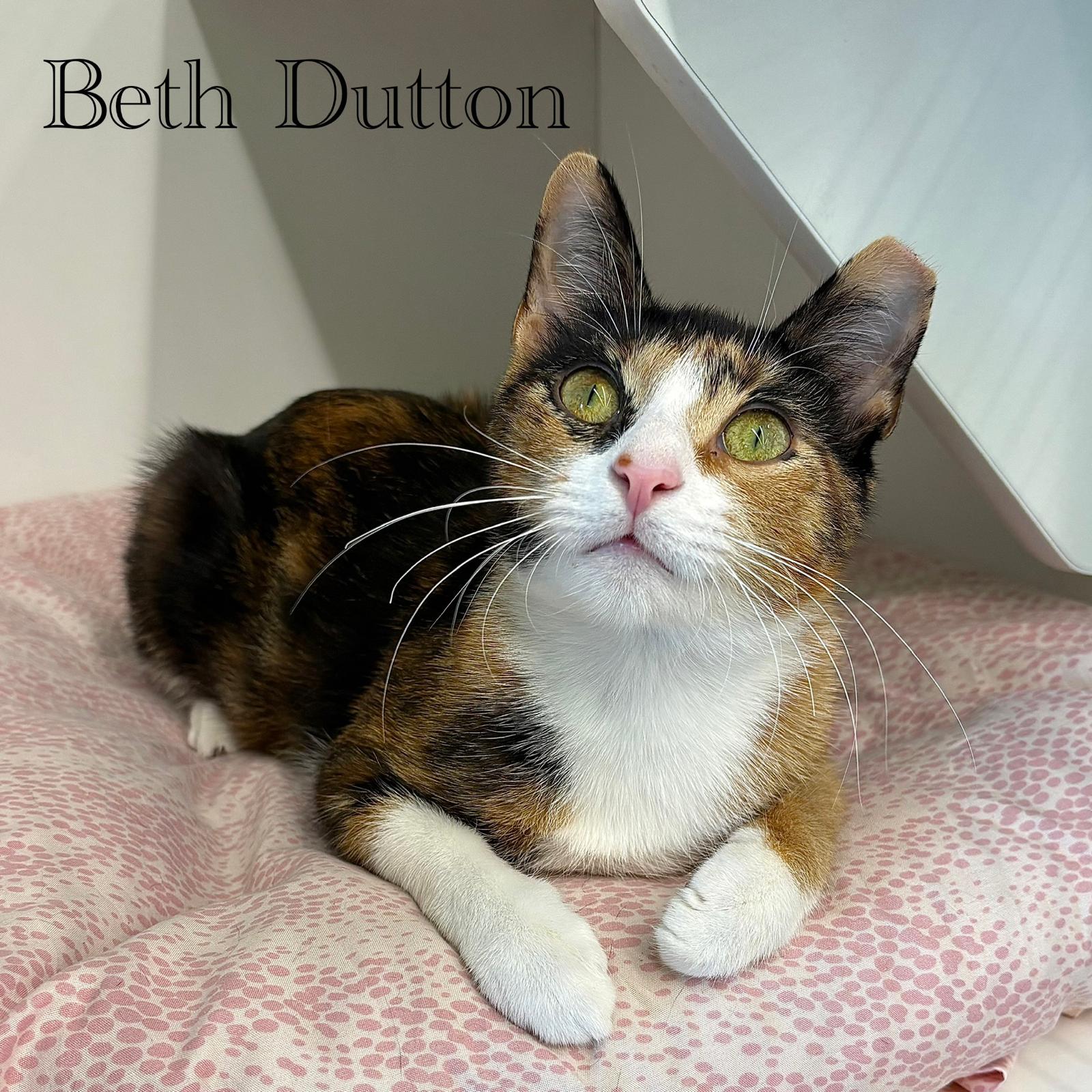Beth Dutton