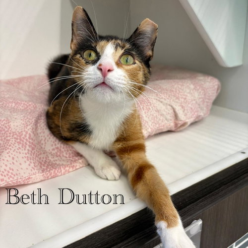 Beth Dutton photo 3