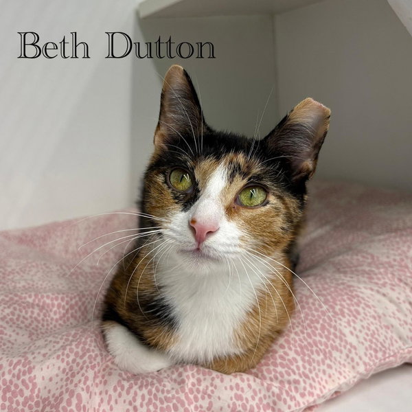 Beth Dutton