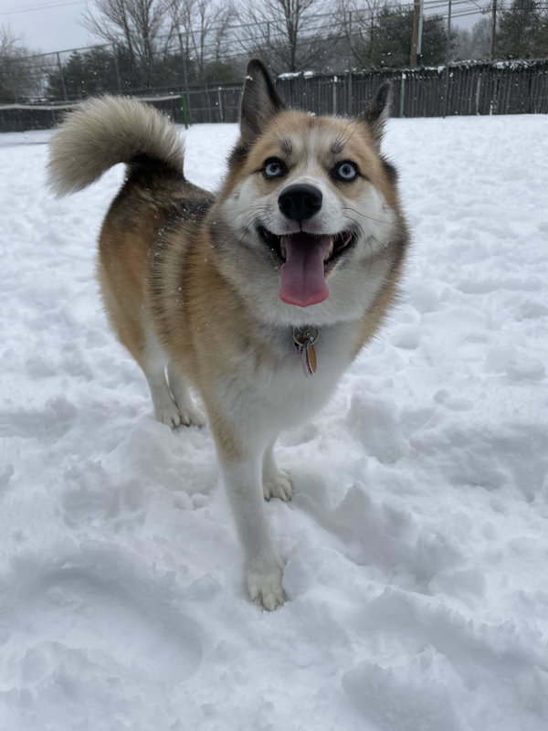 Juneau